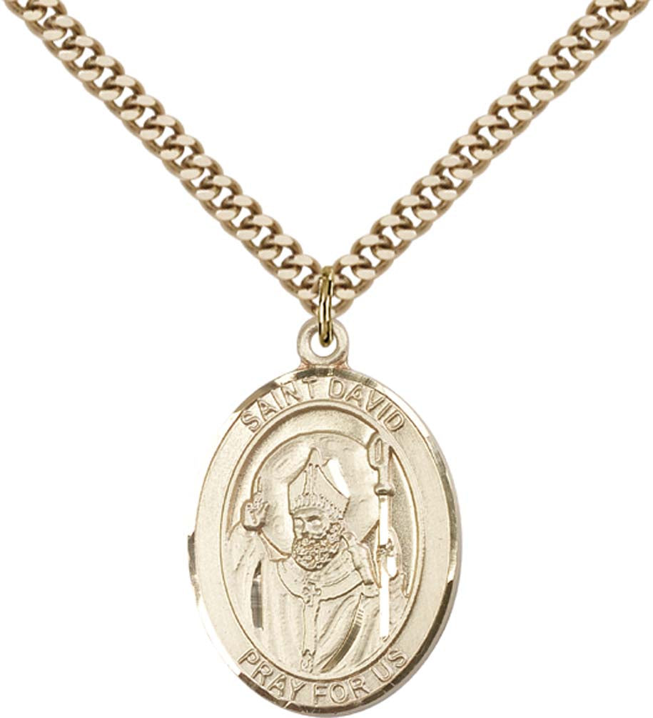 14kt Gold Filled St. David of Wales Pendant with 24 inch Gold Plate Heavy Curb Chain