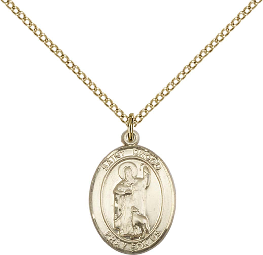 14kt Gold Filled St. Drogo Pendant with 18 inch Gold Filled Light Curb Chain