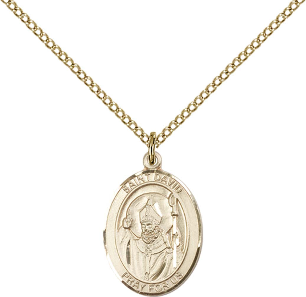 14kt Gold Filled St. David of Wales Pendant with 18 inch Gold Filled Light Curb Chain - Medium