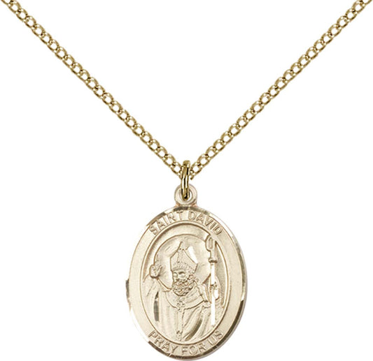 14kt Gold Filled St. David of Wales Pendant with 18 inch Gold Filled Light Curb Chain - Medium