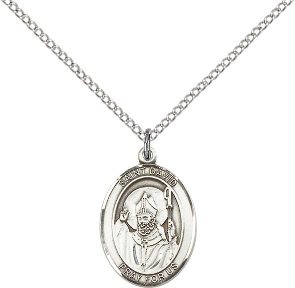 Sterling Silver St. David of Wales Pendant with 18 inch Sterling Silver Light Curb Chain - Medium