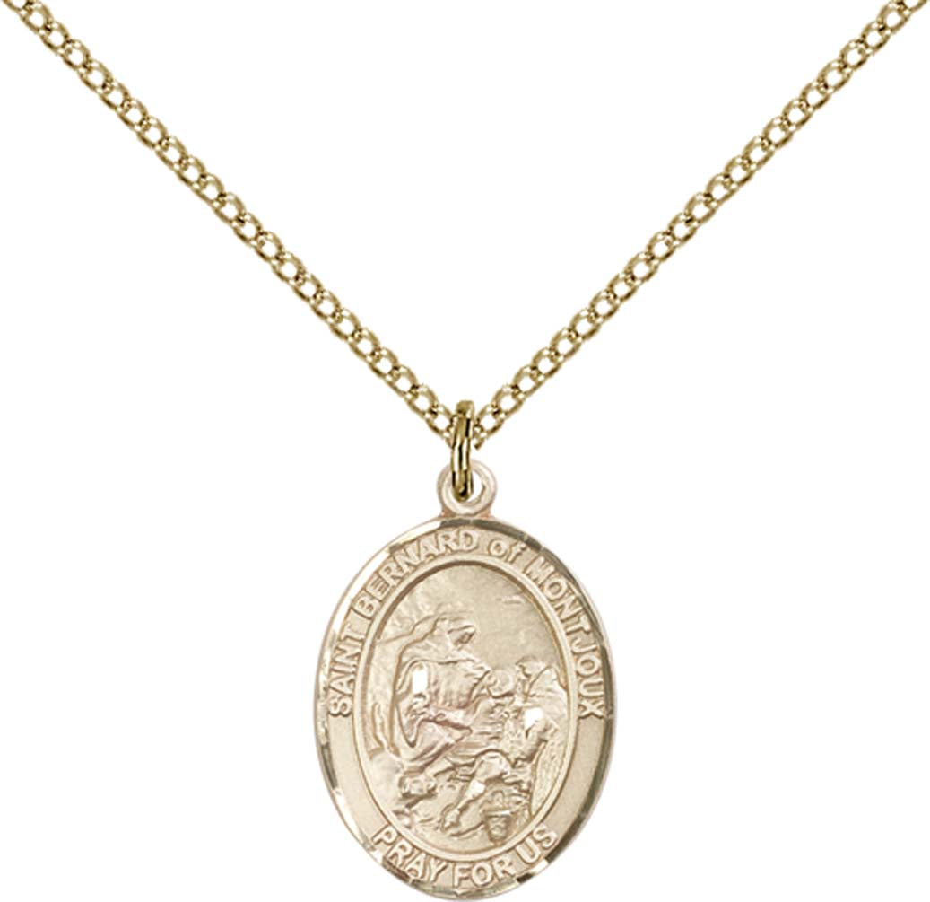 14kt Gold Filled St. Bernard of Montjoux Pendant with 18 inch Gold Filled Light Curb Chain - Medium