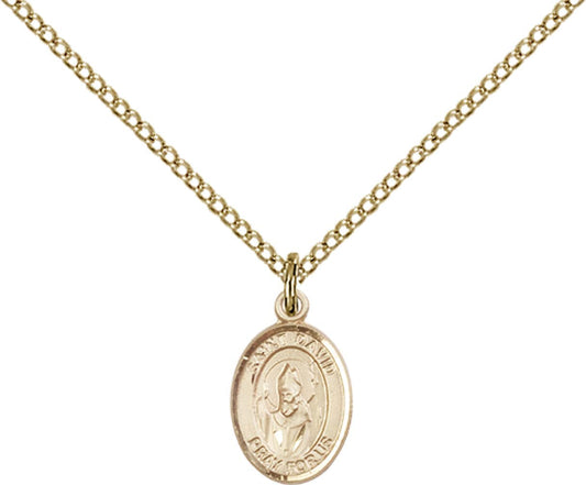 14kt Gold Filled St. David of Wales Pendant with 18 inch Gold Filled Light Curb Chain - Small