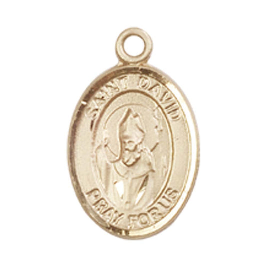 14kt Gold St. David of Wales Medal - Small