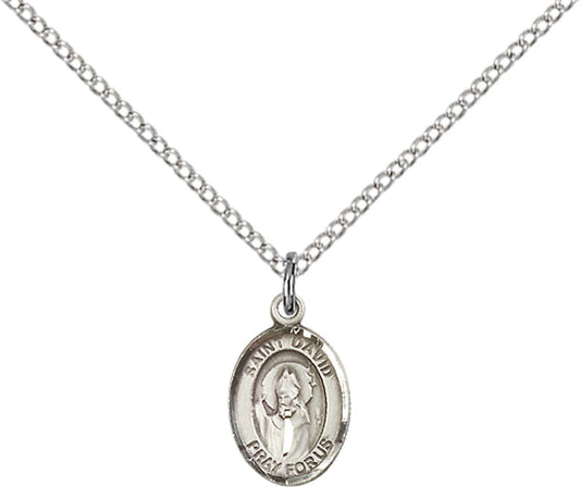 Sterling Silver St. David of Wales Pendant with 18 inch Sterling Silver Light Curb Chain - Small