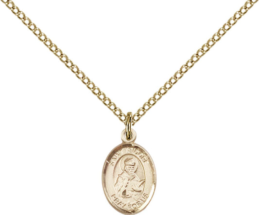 14kt Gold Filled St. Isidore of Seville Pendant with 18 inch Gold Filled Light Curb Chain - Small