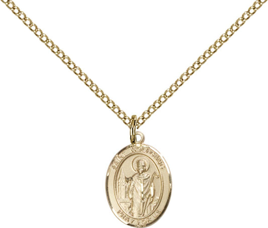 14kt Gold Filled St. Wolfgang Pendant with 18 inch Gold Filled Light Curb Chain - Small