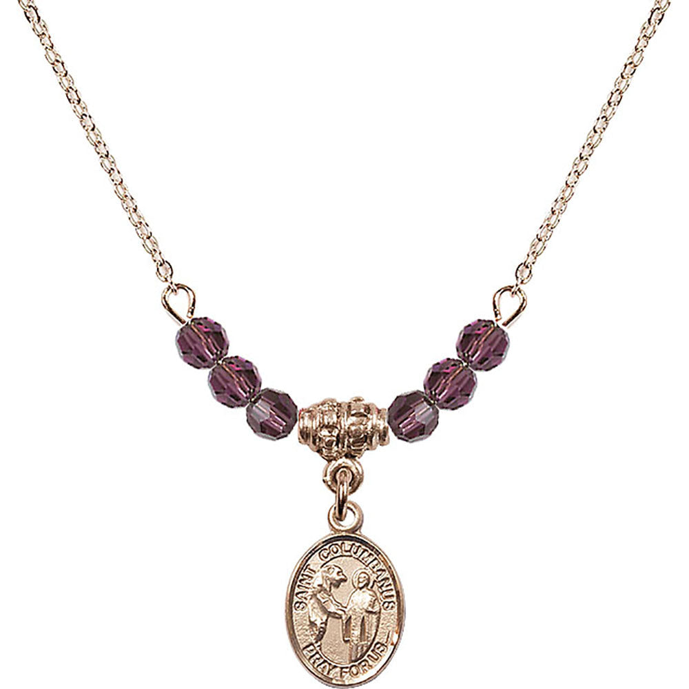 14kt Gold Filled Saint Columbanus Birthstone Necklace with Amethyst Beads - 9321