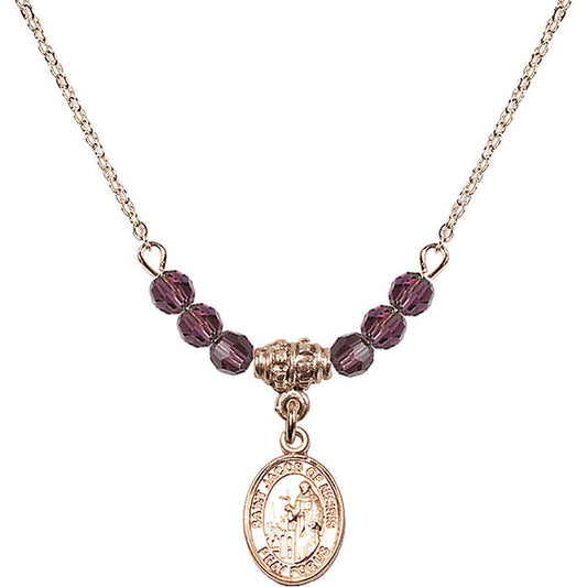 14kt Gold Filled Saint Jacob of Nisibis Birthstone Necklace with Amethyst Beads - 9392