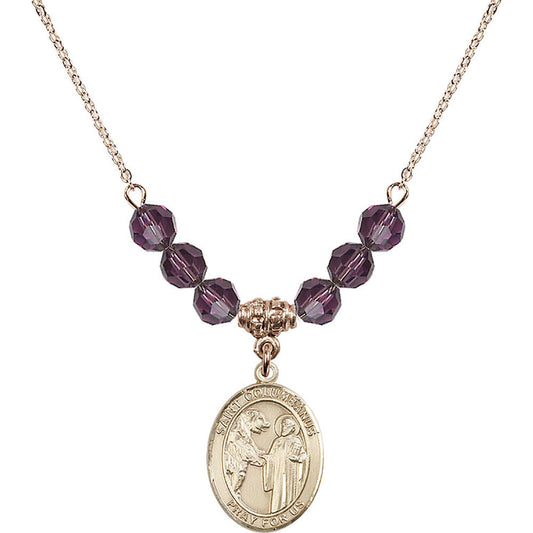 14kt Gold Filled Saint Columbanus Birthstone Necklace with Amethyst Beads - 8321