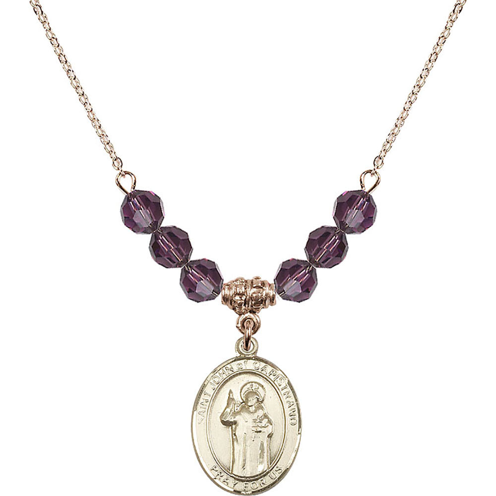 14kt Gold Filled Saint John of Capistrano Birthstone Necklace with Amethyst Beads - 8350