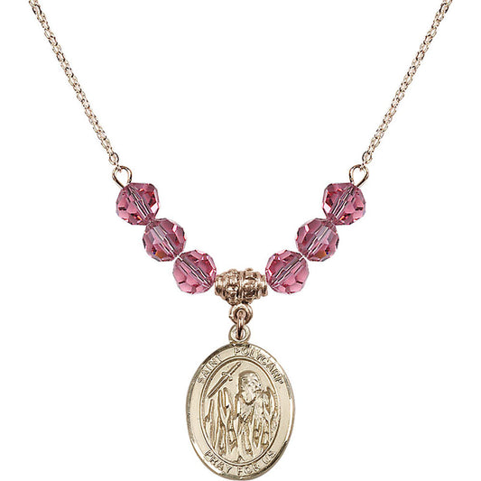 14kt Gold Filled Saint Polycarp of Smyrna Birthstone Necklace with Rose Beads - 8363