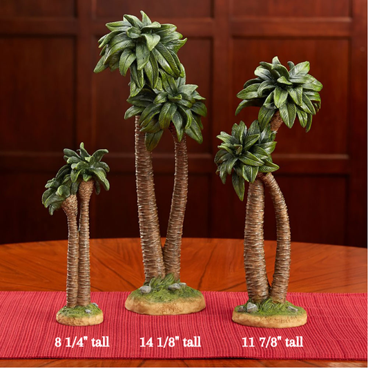 Palm Tree